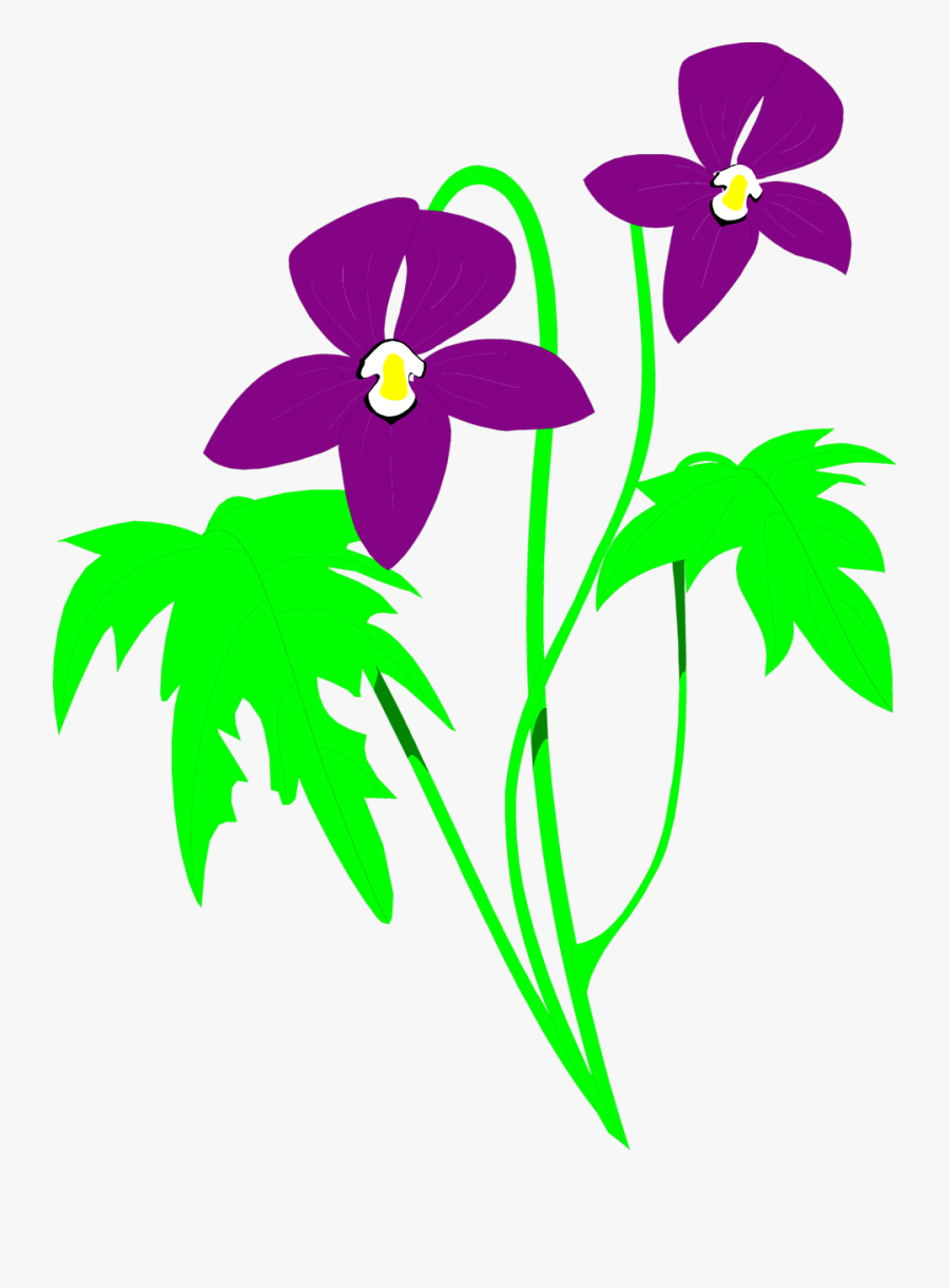 Clip Art Illustration Of A Purple And Pink Birthday - Purple And Green Flower Clipart, Transparent Clipart