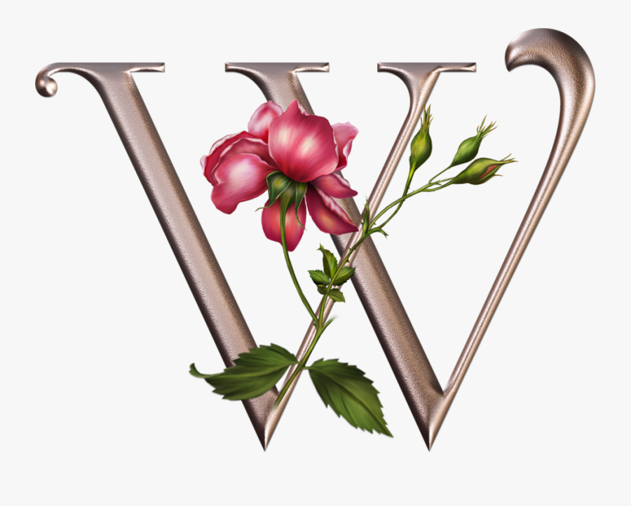 Фотки Monogram Letters, Floral Letters, Design Letters, - Alphabet, Transparent Clipart