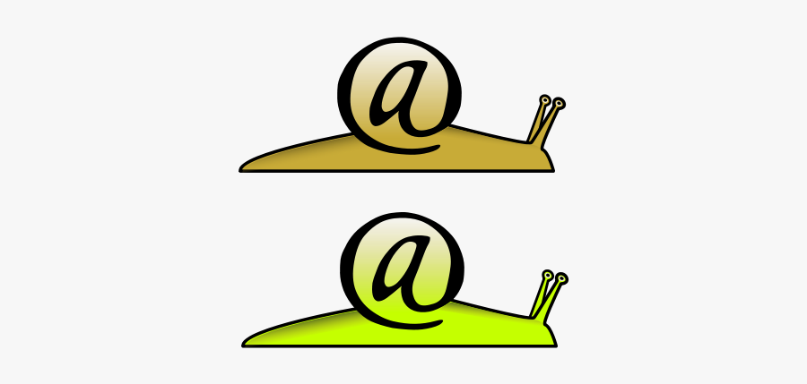 Snail, Transparent Clipart