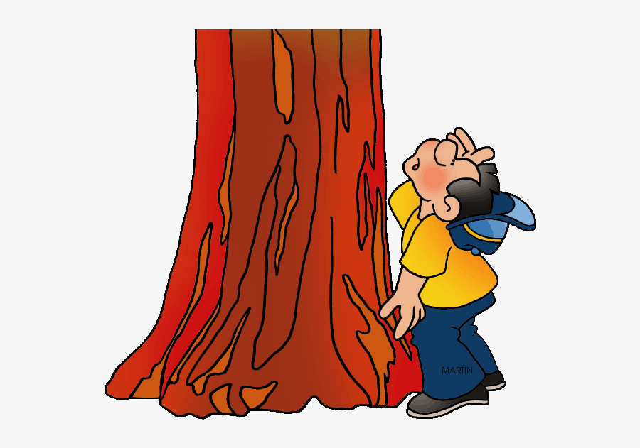 Redwood Tree Silhouette Clipart - Phillip Martin Clipart Tree, Transparent Clipart