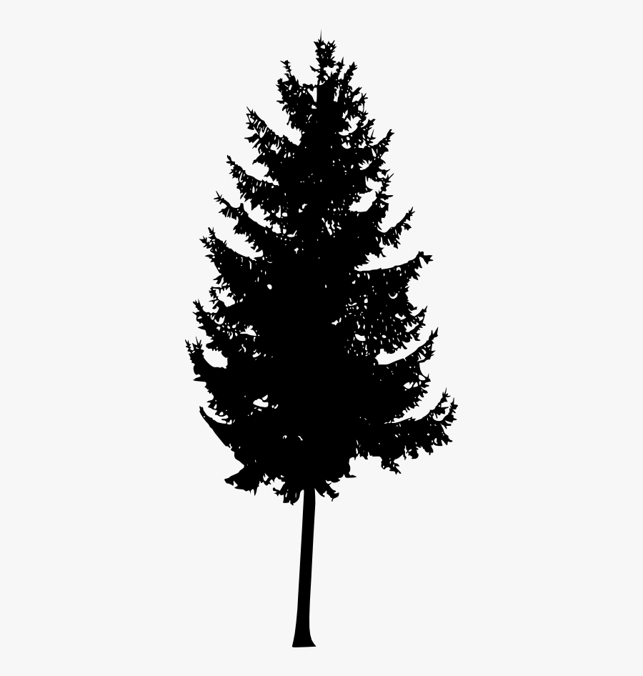 Mountain Ash Tree Silhouette, Transparent Clipart