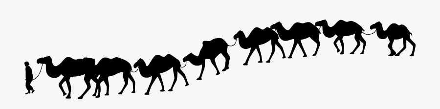 Camel Train Silhouette Desert - Camel In Desert Silhouette, Transparent Clipart