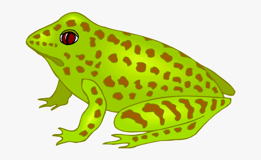 Free Frog Clipart - Frog Lay Eggs Clipart, Transparent Clipart