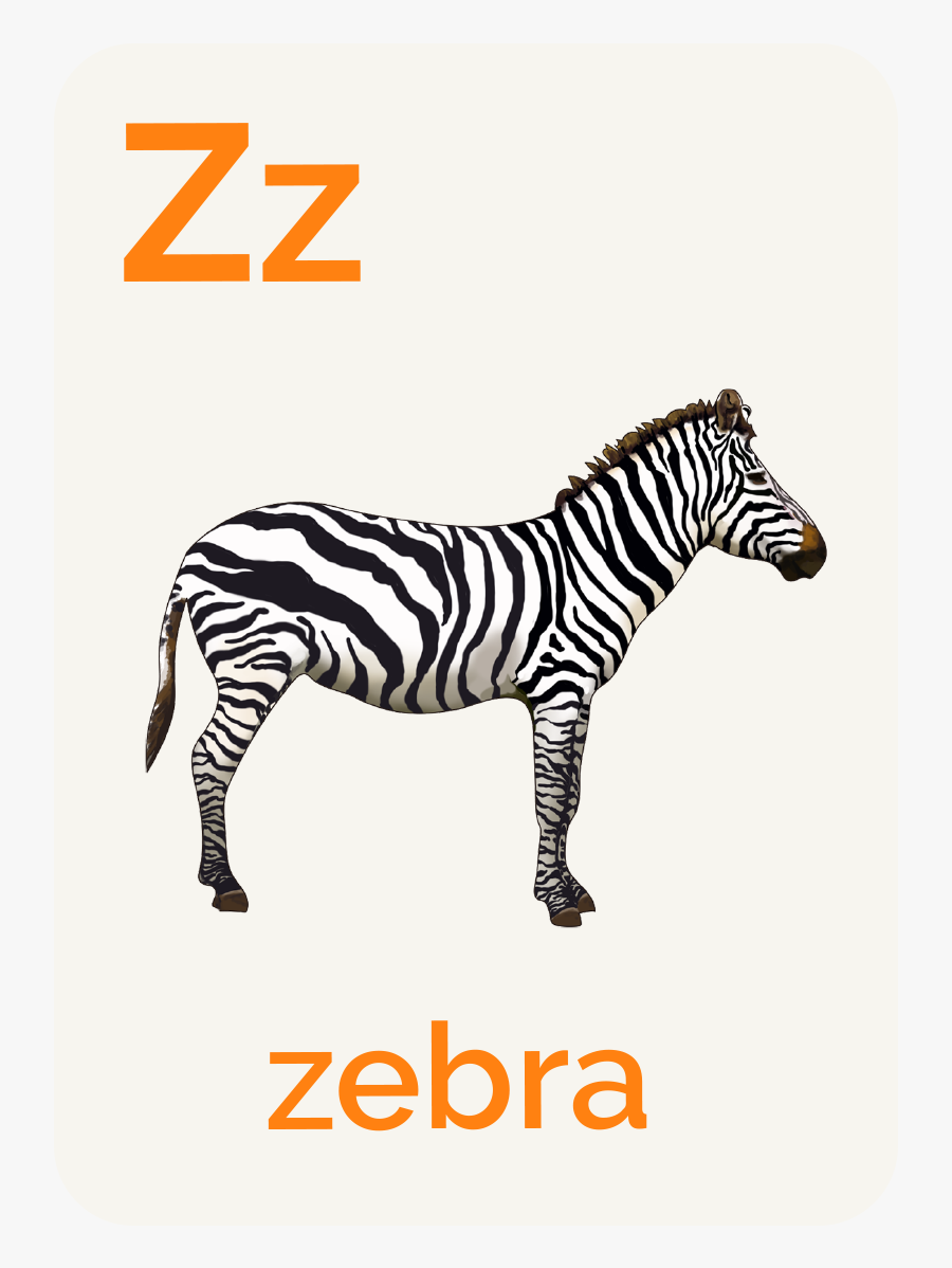Zebra, Transparent Clipart