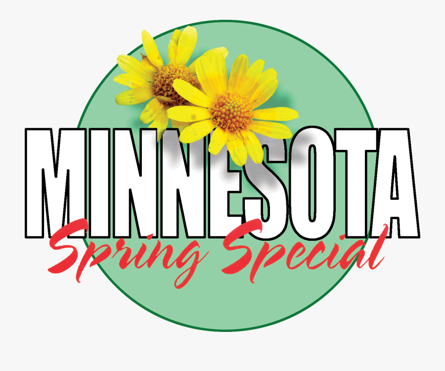 Luftwaffe, Transparent Clipart