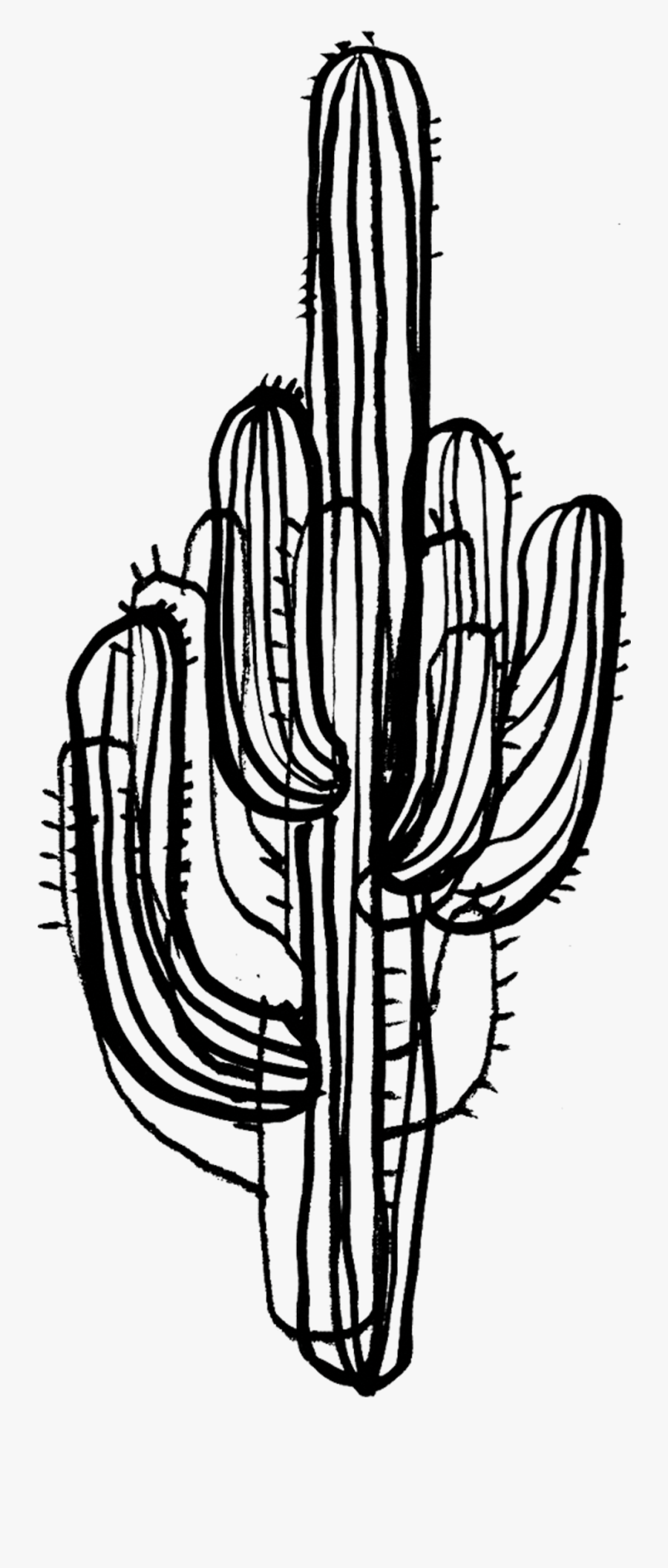 Cactus Transparent Black And White - Cactus Png Black And White, Transparent Clipart