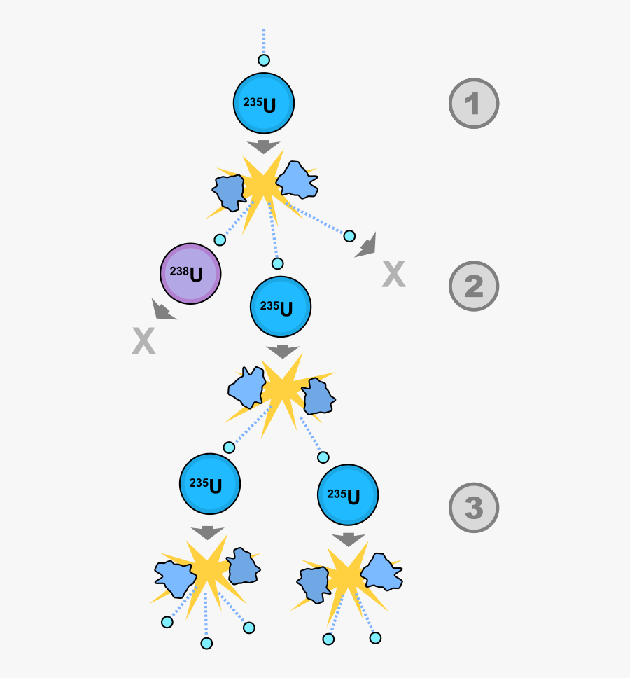 Fission Chain Reaction Steps, Transparent Clipart