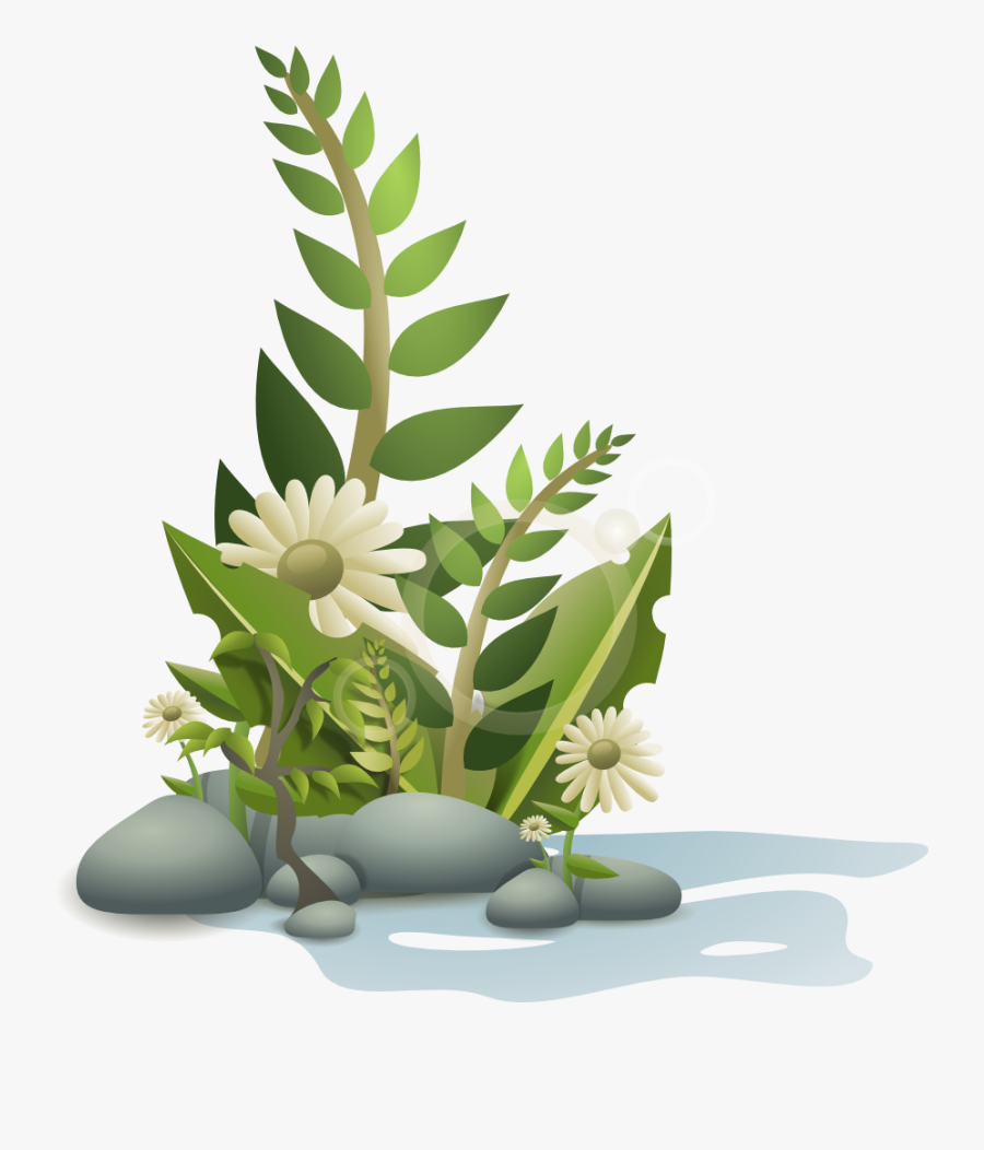 Plants Clipart, Transparent Clipart