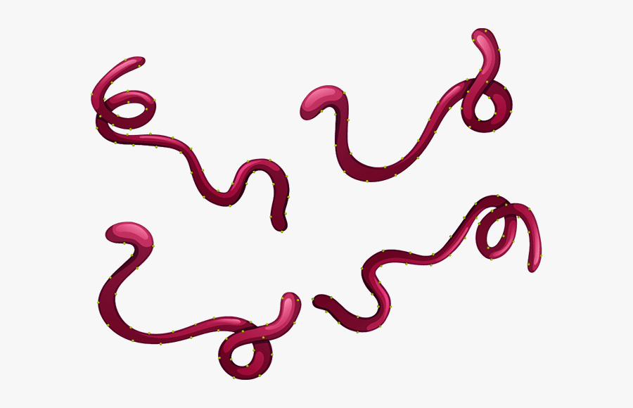 Mind Reading Tech To Turn Speech Intent Into Text, Transparent Clipart