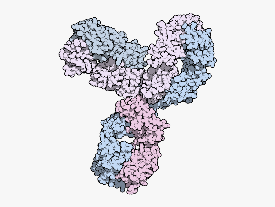 Pembrolizumab Formula, Transparent Clipart