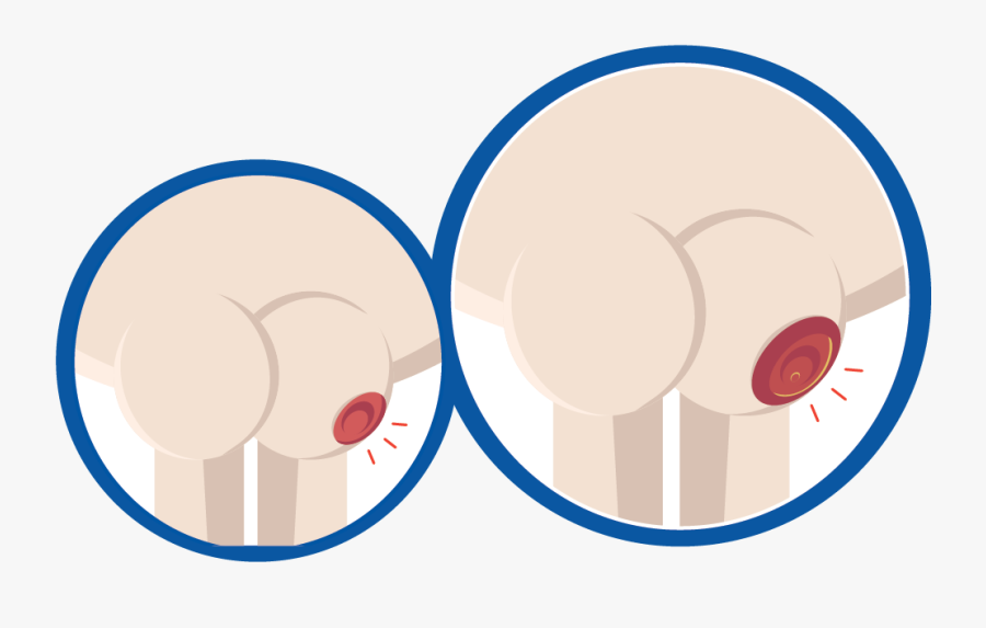 Circle, Transparent Clipart