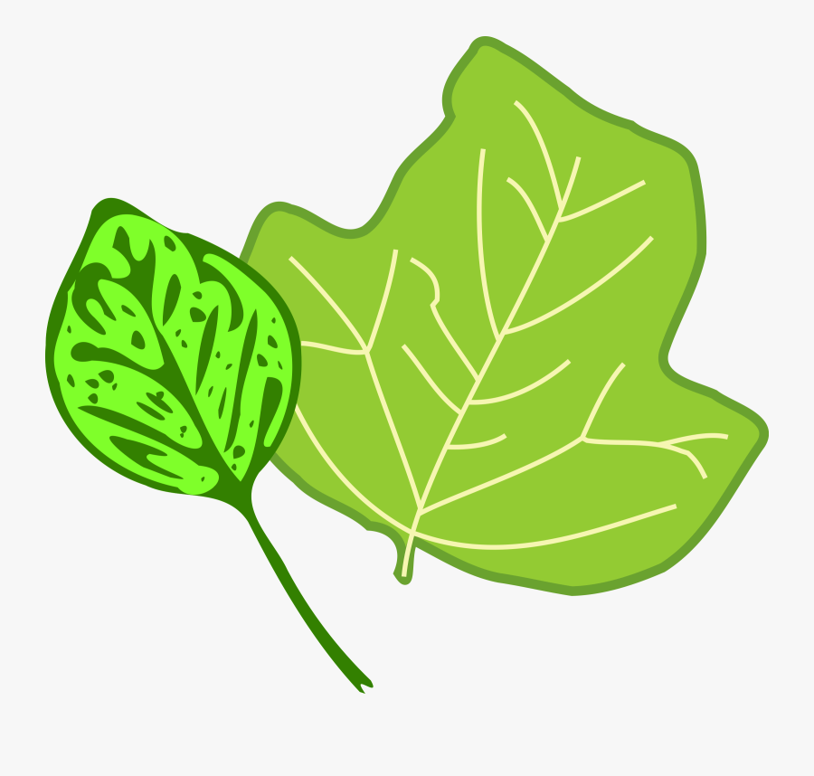 Leaf Clip Art - Leaf, Transparent Clipart