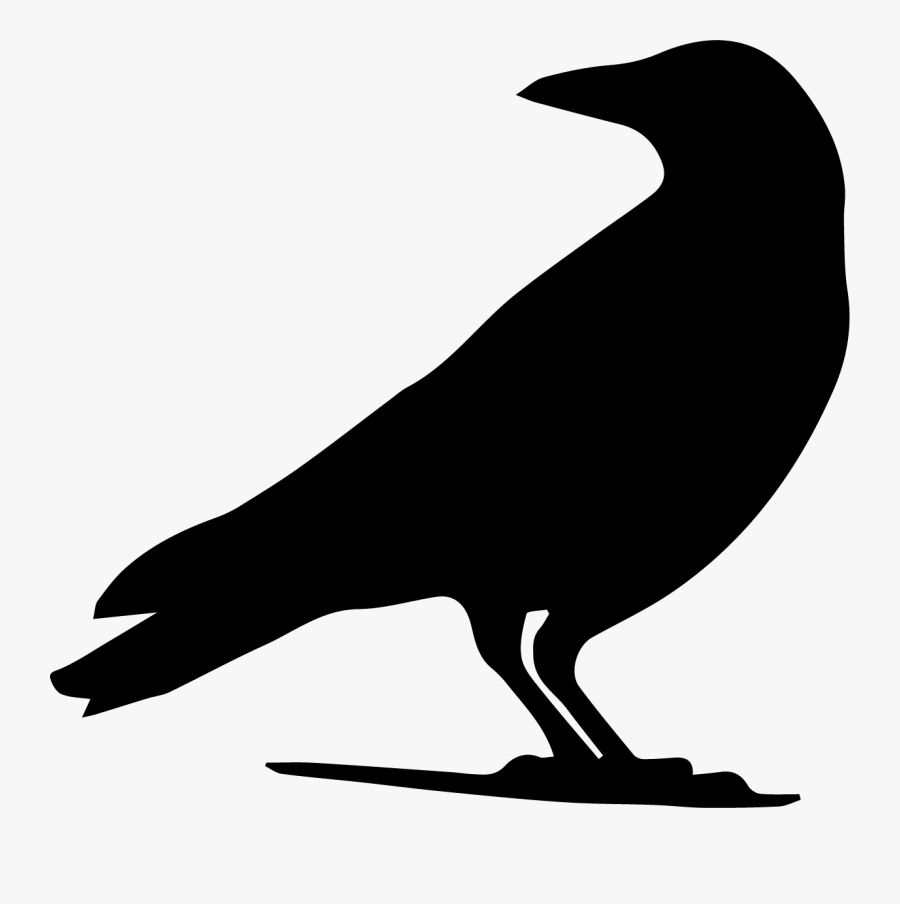 Drawing Crow Silhouette Clip Art - Crow Drawing Png, Transparent Clipart