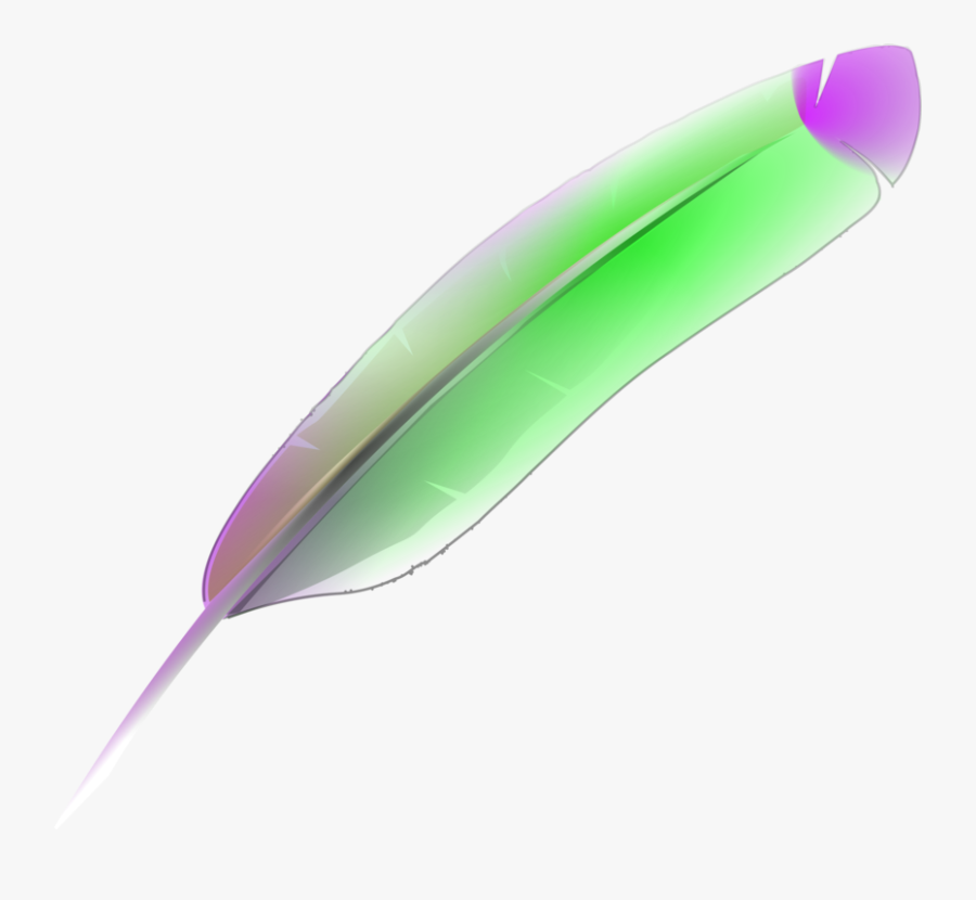 Feather,quill,art - Hen Feather Png, Transparent Clipart