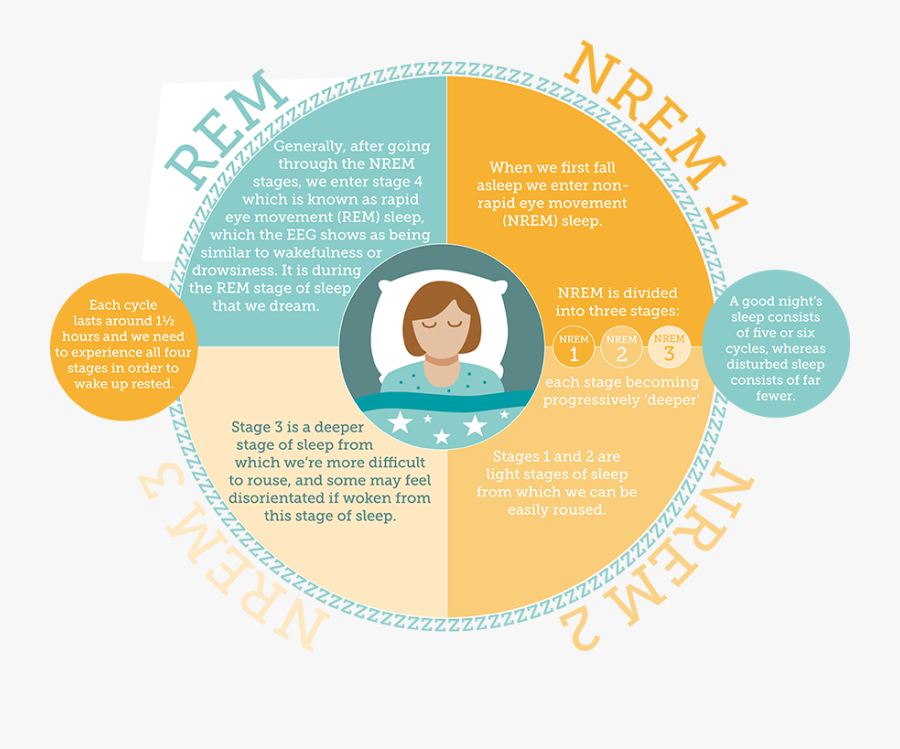 The Sleep Council How Much Sleep Do We Need - Many Sleep Cycles Do We Need, Transparent Clipart