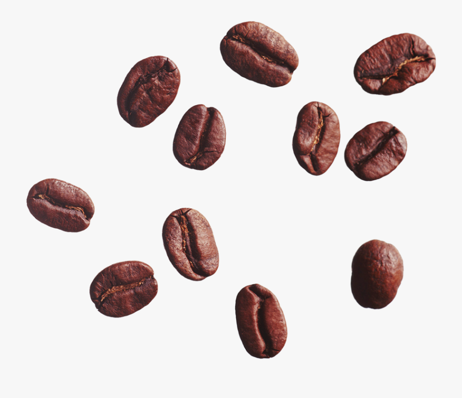 Coffee Bean Cafe Clip Art - Transparent Background Coffee Bean Png, Transparent Clipart
