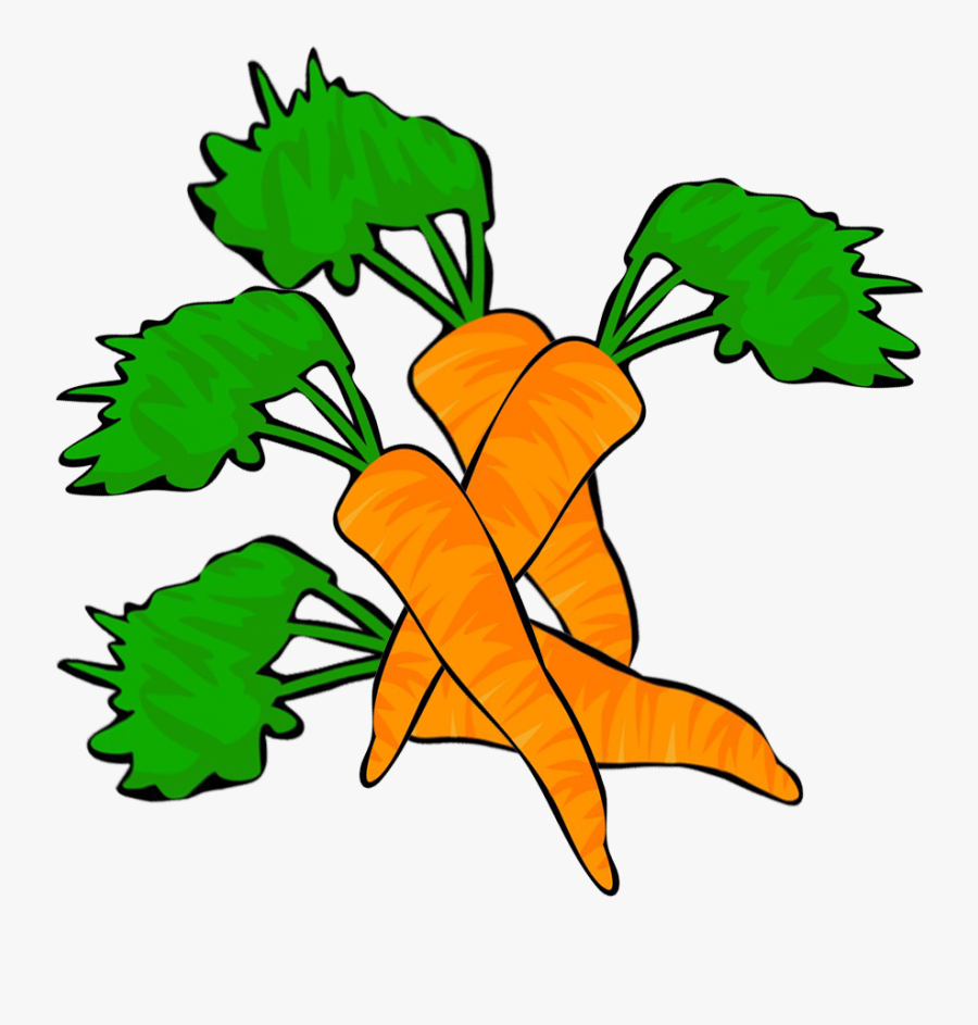Four Carrots Clipart, Transparent Clipart