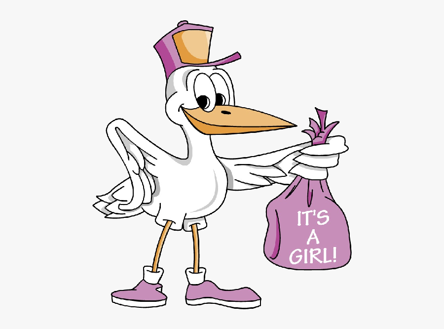 Stork Carrying Baby Girl 4 600×600 Pixels - Its A Girl Bird, Transparent Clipart