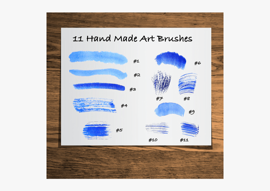 Shell, Transparent Clipart