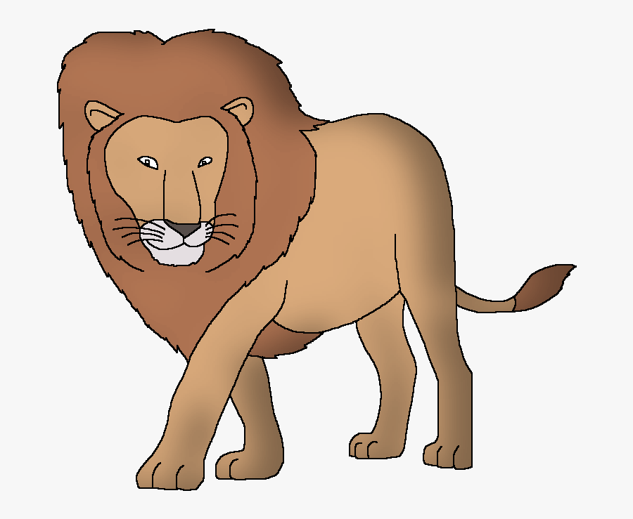 Wildlife Animal Pedia Wiki - Wildlife Animal Pedia, Transparent Clipart