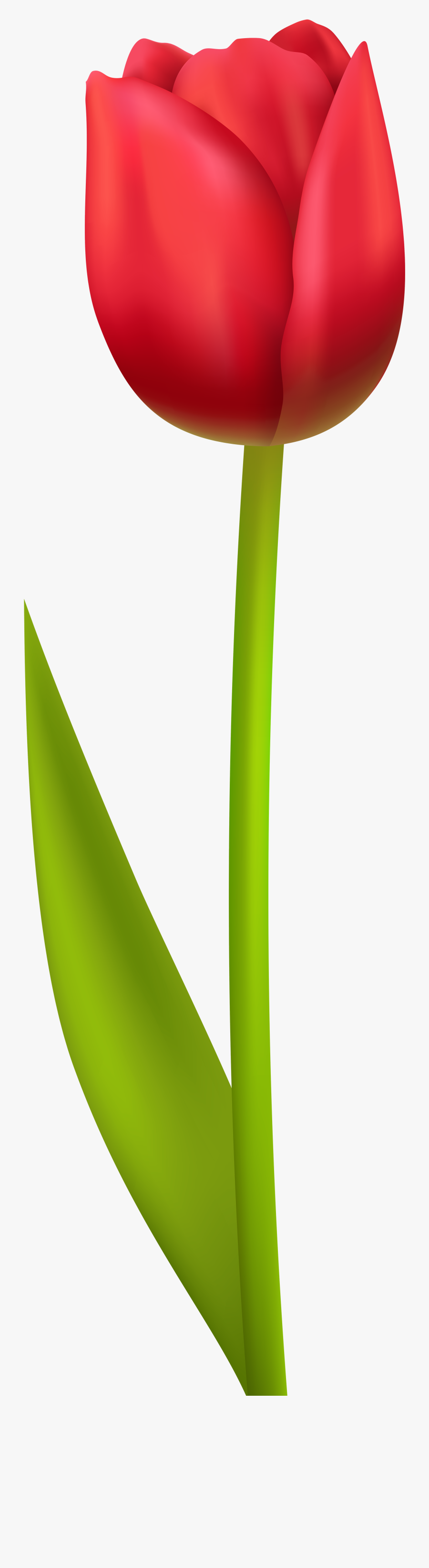 Hats Clipart Flower - Tulip, Transparent Clipart