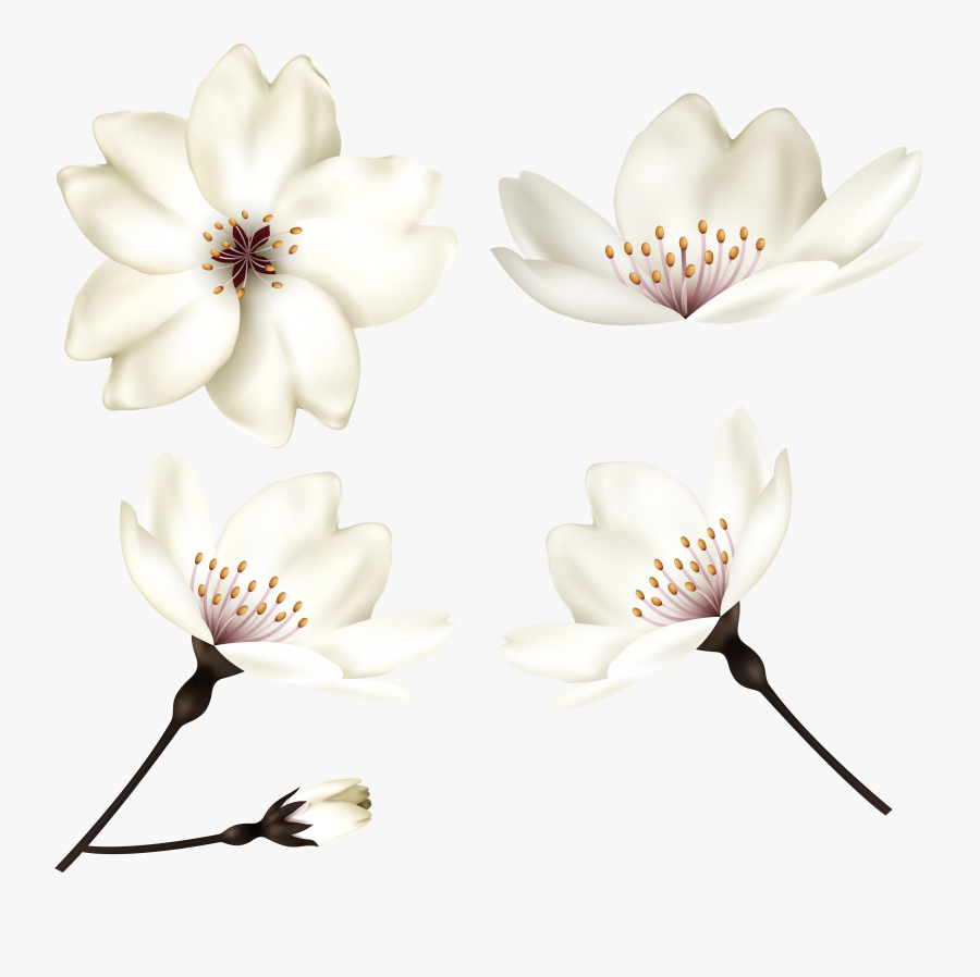 Spring Flowers Clip Art, Transparent Clipart