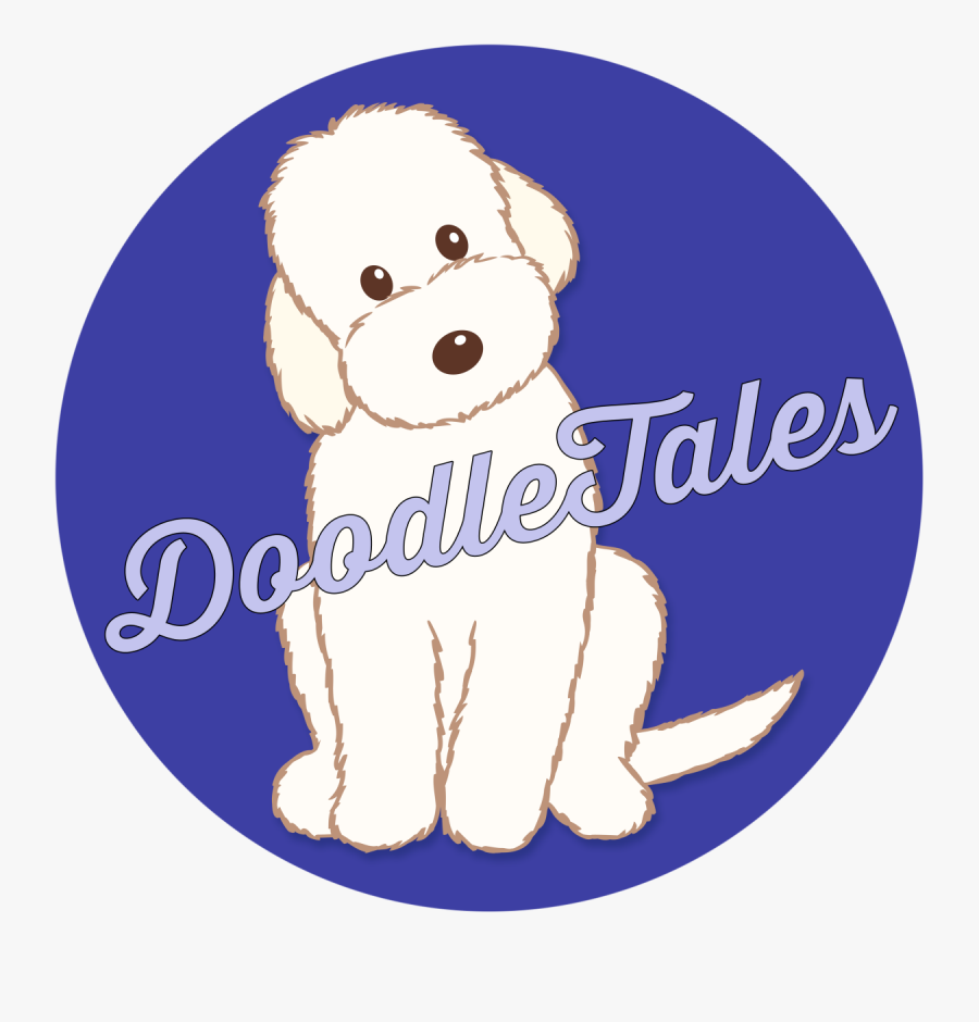 Project Photo, Transparent Clipart