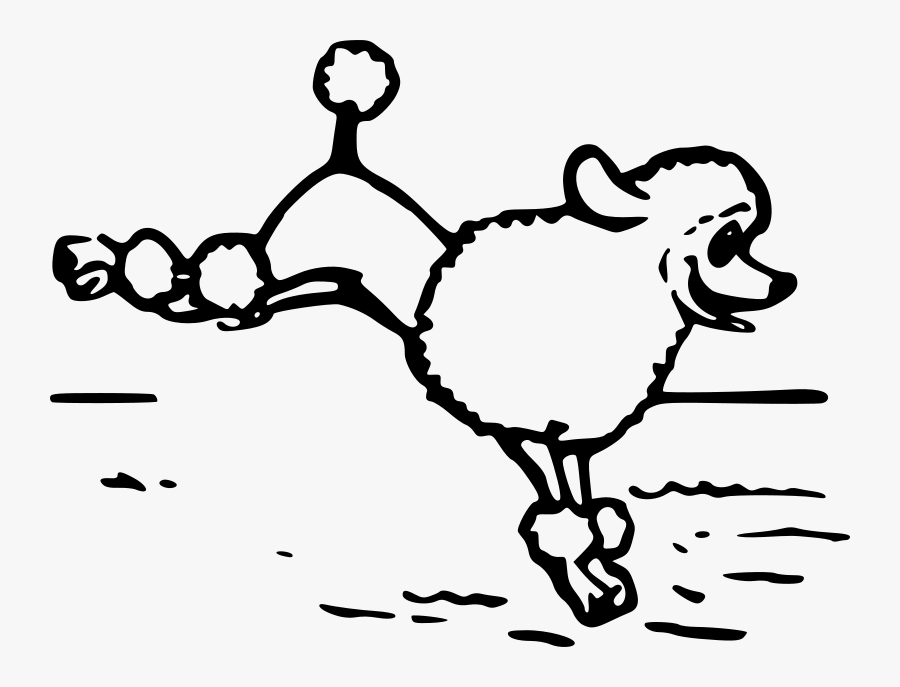 A Poodle - Poodle Png Jump Outline, Transparent Clipart