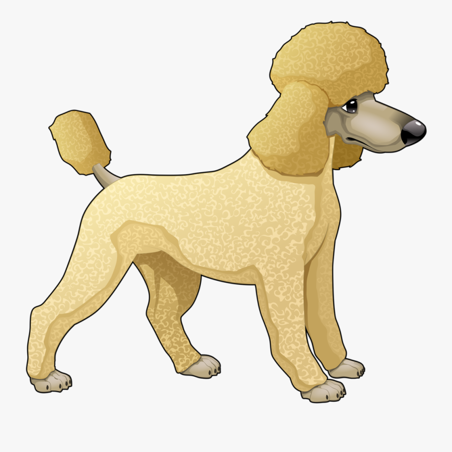 Poodle Clipart Transparent Background, Transparent Clipart