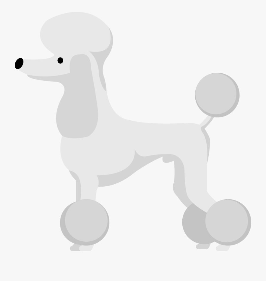 Miniature Poodle, Transparent Clipart