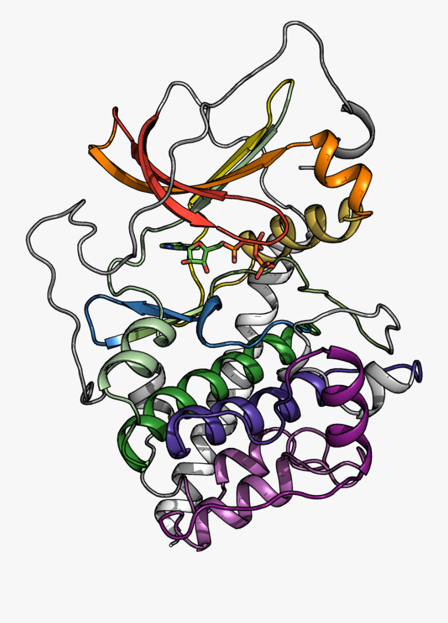 This Approach Is Applied To Understand How Disease, Transparent Clipart