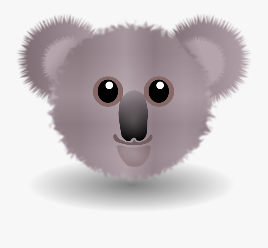 Rodent,head,koala - Koala Bear Facts For Kids, Transparent Clipart