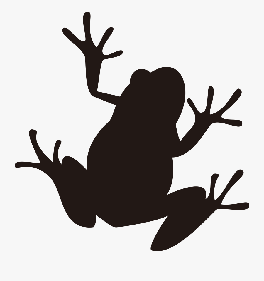 Frog Silhouette Illustration Image Amphibians - Frog Silhouette Png, Transparent Clipart