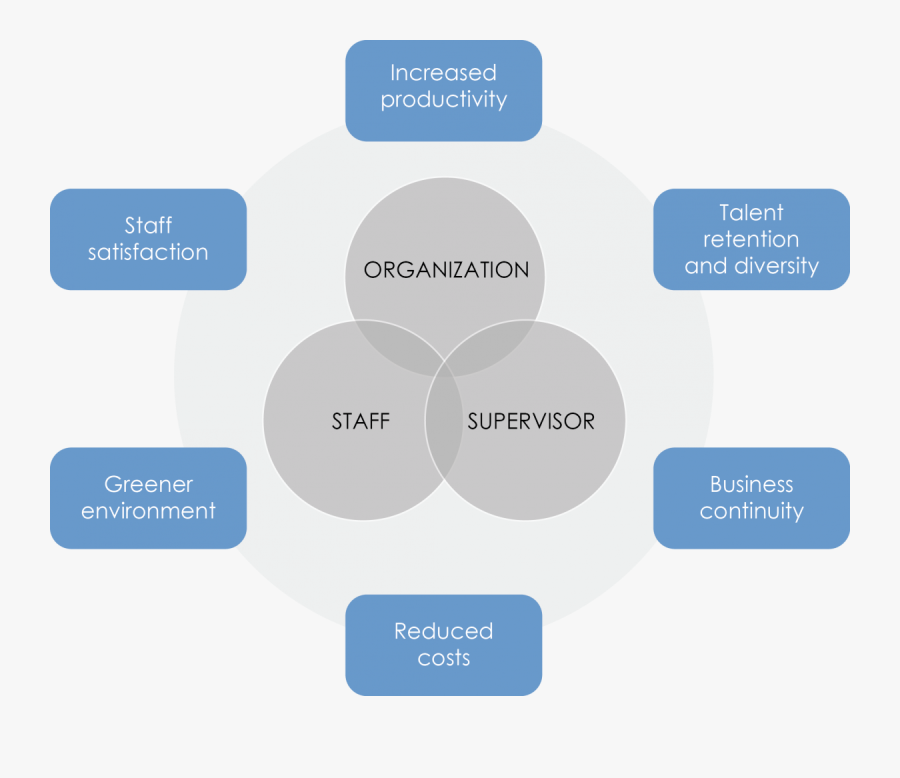 Diagram, Transparent Clipart