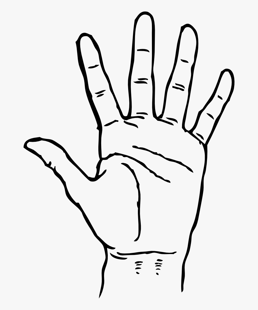 Thumb Image - Hand Black And White, Transparent Clipart