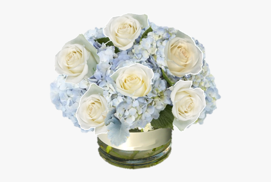 Blue Hydrangea And White - Garden Roses, Transparent Clipart