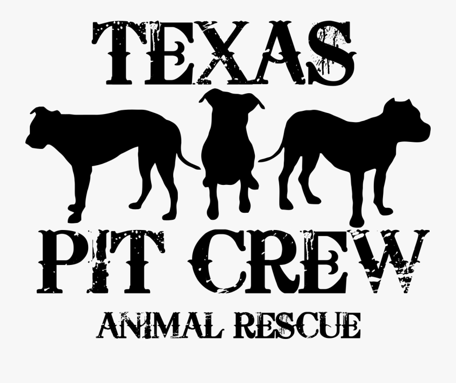 Dog Wichita Falls Pet Cat Veterinarian - C Clown, Transparent Clipart