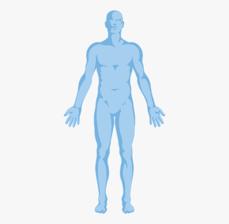 Human Body Transparent Background, Transparent Clipart