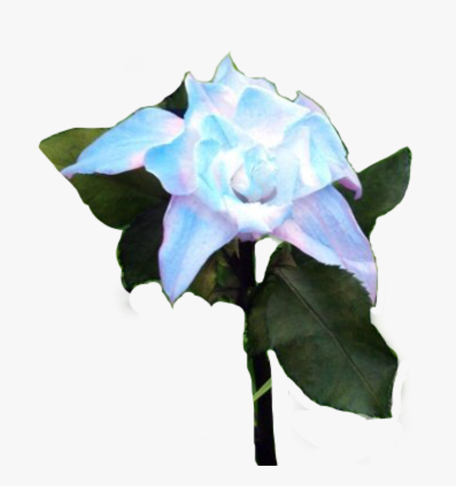Transparent Columbine Flower Clipart - Bts Flower Smeraldo Png, Transparent Clipart