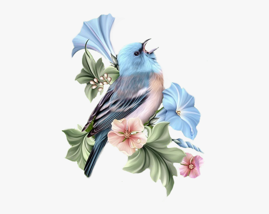 Beautiful Bird And Flower Art, Transparent Clipart