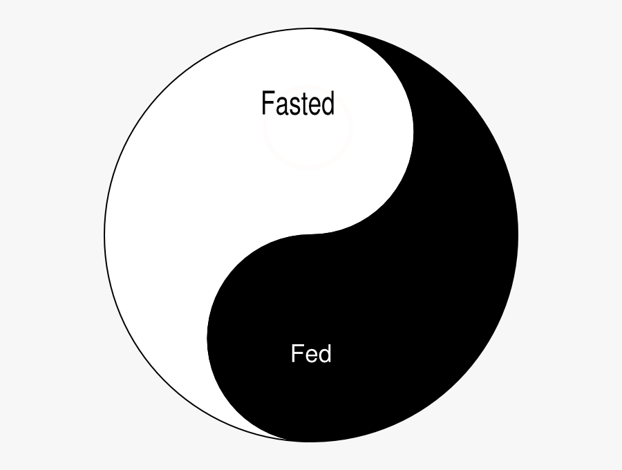 Circle, Transparent Clipart