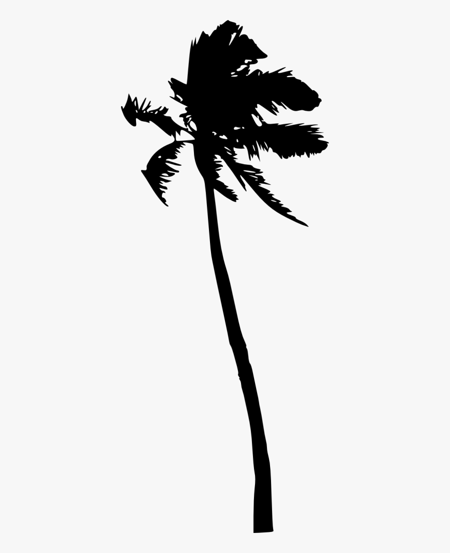 Coconut Tree Silhouette Png, Transparent Clipart
