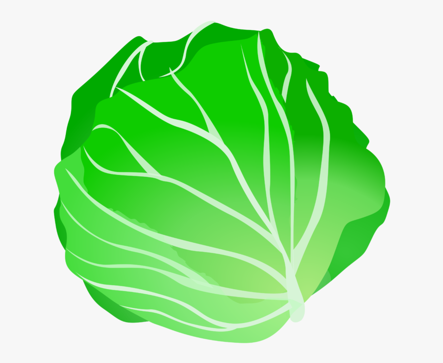 Cabbage Clipart, Transparent Clipart