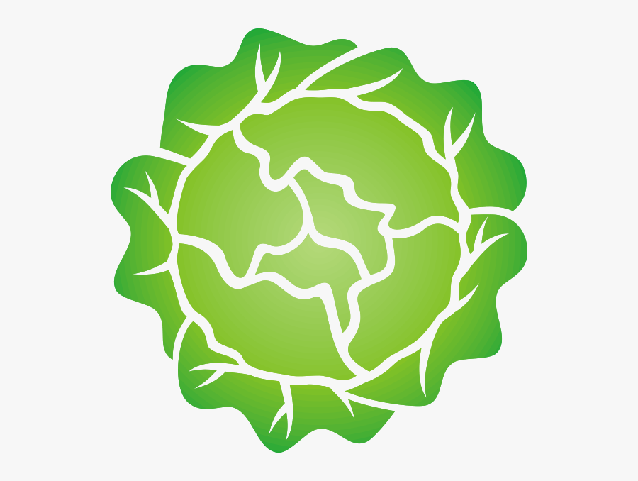 Head Of Lettuce Svg Clip Arts - Head Of Lettuce Clipart, Transparent Clipart