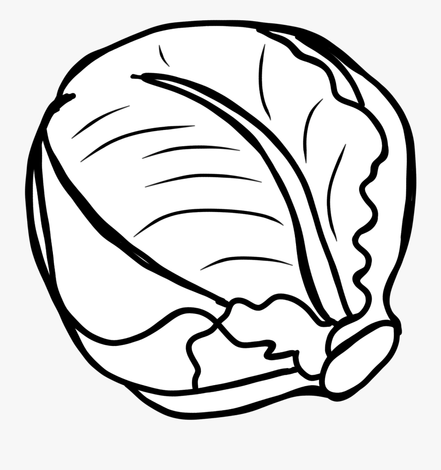 Red Cabbage Black And - Vegetables Clipart Black And White, Transparent Clipart