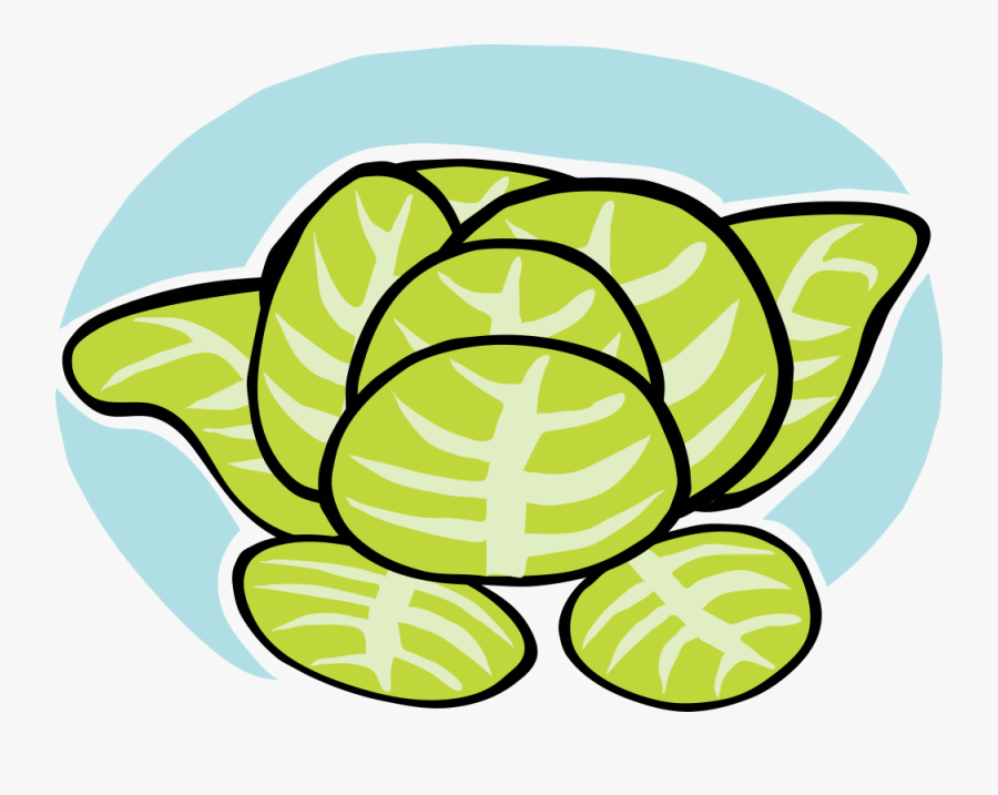 Iceberg Lettuce - Lettuce Clip Art, Transparent Clipart