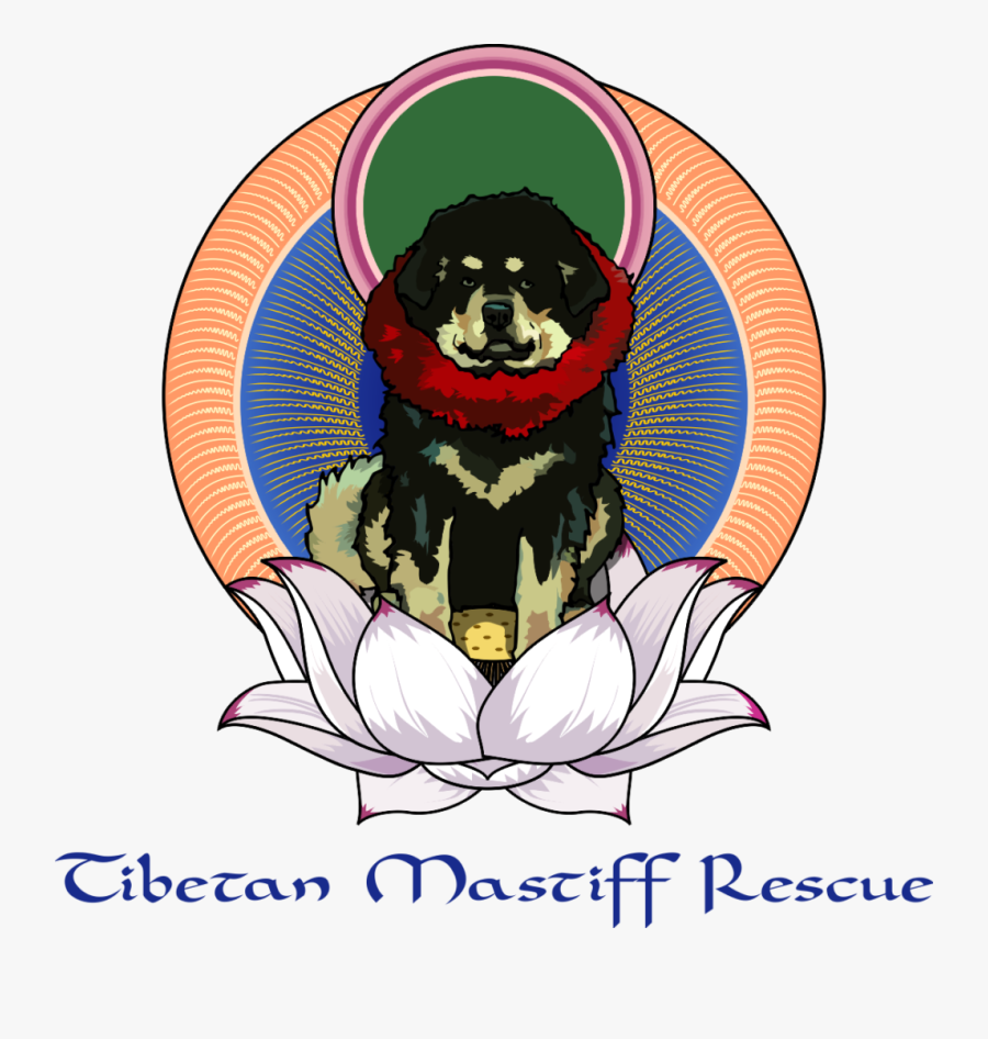 Pets Clipart Animal Protection - Tibetan Mastiff, Transparent Clipart