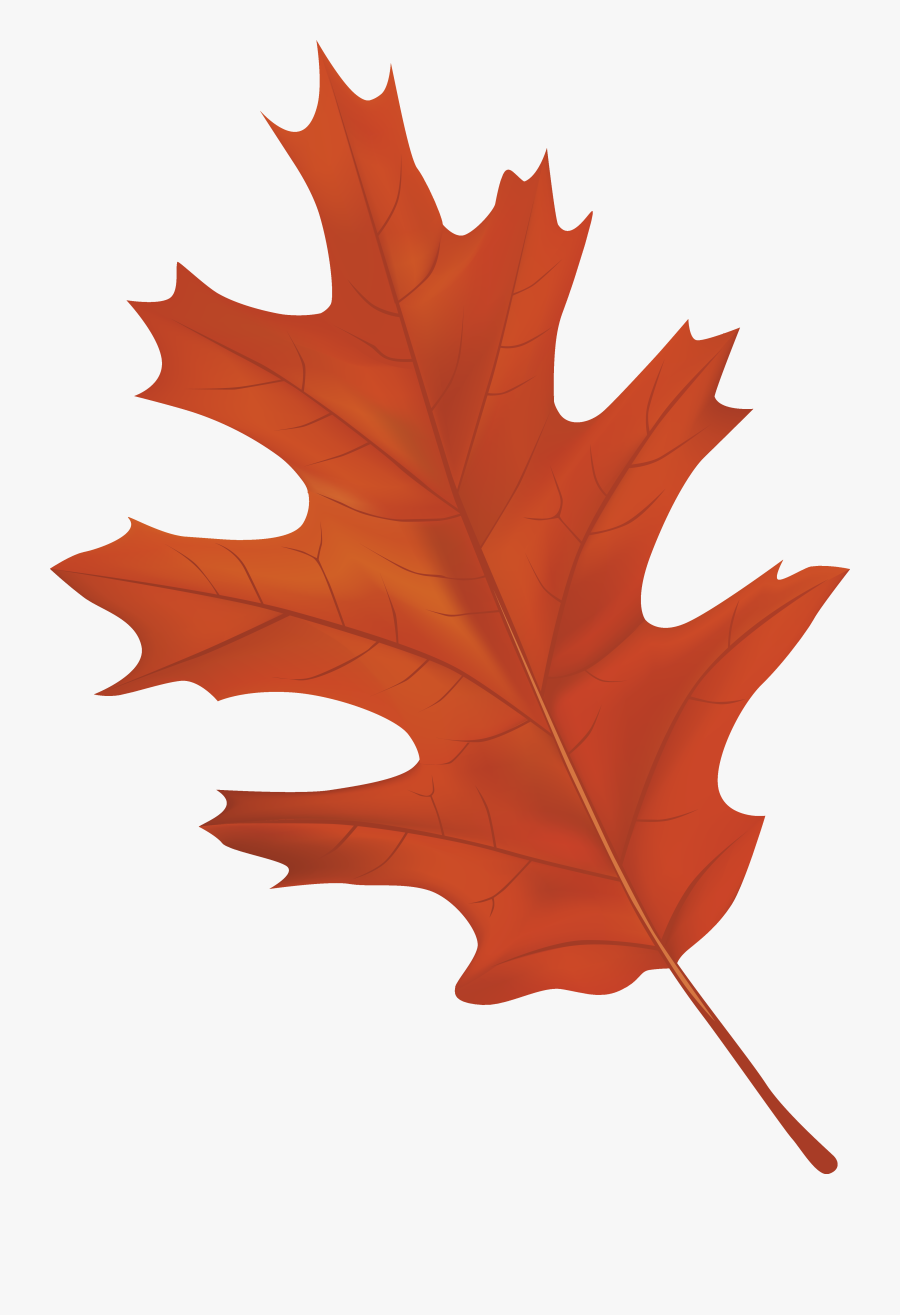 Autumn Leaf Color Clip Art - Autumn Leaf Clipart Png, Transparent Clipart