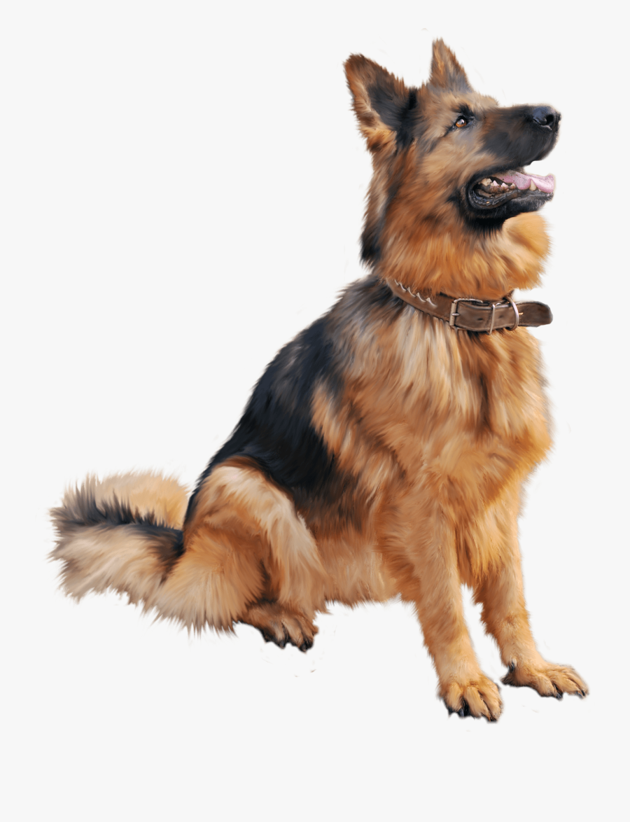 German Shepherd Dog Sitting Png Image - Dog Png Hd Download, Transparent Clipart