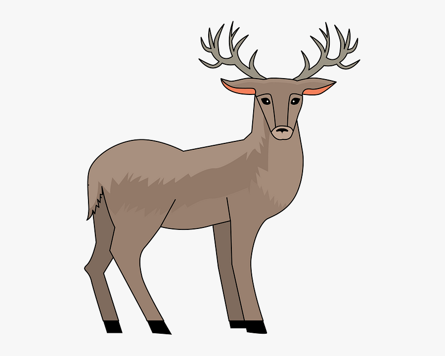 Elk, Transparent Clipart